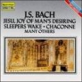 Bach - Jesu Joy of Man's Desiring, Chaconne / Kussmaul, Hochstein, Winschermann